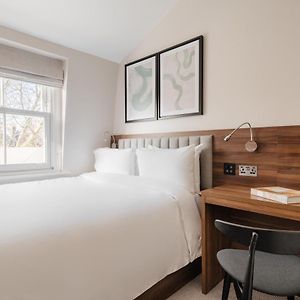Superior Kamer met een Queen Size Bed